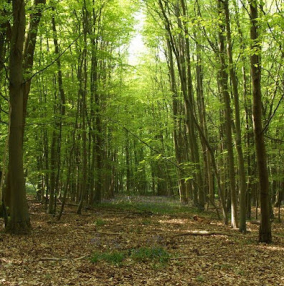 Meet your Posher, Seb's